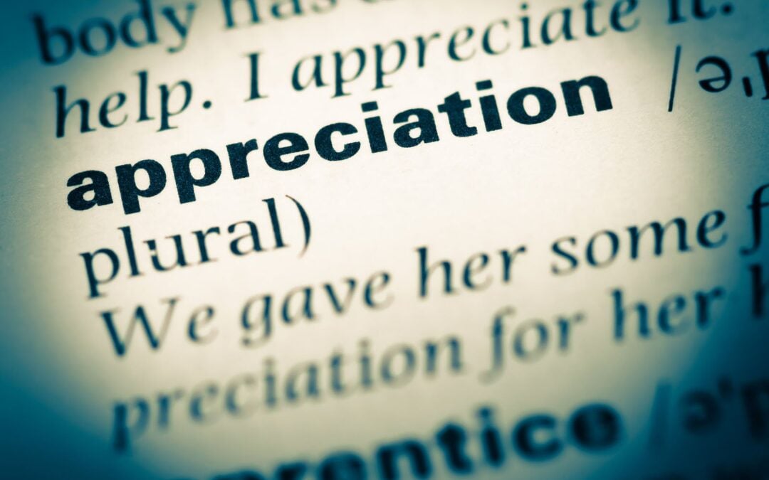 Redefining Social Worker Appreciation: How to create a system of capacity rather than a position of sacrifice